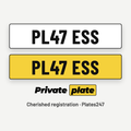 Plates247 PL47 ESS